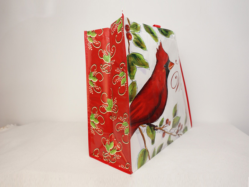https://www.vnlbag.com/Non Woven laminated with X sewing inside 2